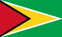 Flag of Co-operative Republic of Guyana